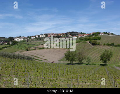 Weinberge rund um Radda in Chianti, Toskana, Italien Stockfoto