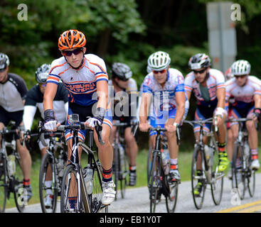 September 28, 2014-Dahlonega, GA - A Gruppe von Männern, die während der 6-Gap-Jahrhundert-Fahrradtour Reiten. Stockfoto