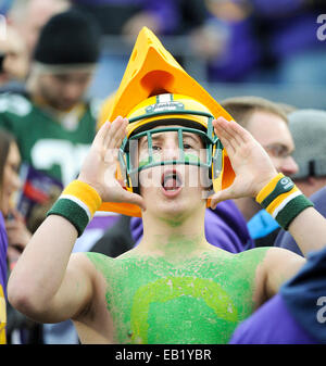 Minneapolis, MN, USA. 23. November 2014. Green Bay Packers Fan in der ersten Jahreshälfte im TCF Bank Stadium in Minneapolis, MN. Craig Lassig/CSM/Alamy Live-Nachrichten Stockfoto