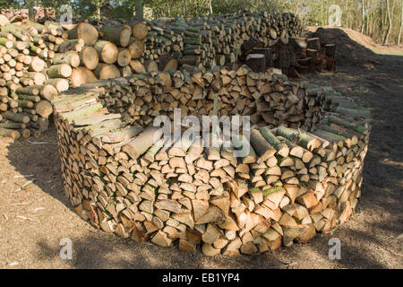 Holz-Hausen-Methode der Stapel Brennholz trocknen Stockfoto