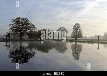 Bushy Park, SW-London, England, UK. 24. November 2014. Bäume spiegelt sich in den ruhigen Gewässern der Bootfahren Teich an einem nebligen und frostigen Morgen in Bushy Park im Süden von London. Bildnachweis: Julia Gavin UK/Alamy Live-Nachrichten Stockfoto