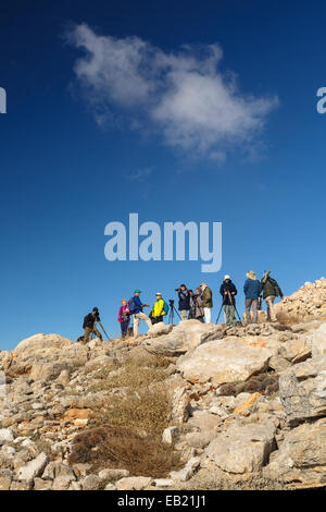 Vogelbeobachtung und Ornithologie. Mt Hermon. Golan-Höhen. Israel. Syrien. Asien Stockfoto