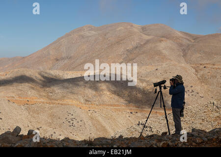 Vogelbeobachtung und Ornithologie. Mt Hermon. Golan-Höhen. Israel. Syrien. Asien Stockfoto