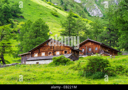 Sommer in den österreichischen Alpen, Nationalpark Hohe Tauern, Pfad zu Österreichs höchster Berg Großglockner. Stockfoto