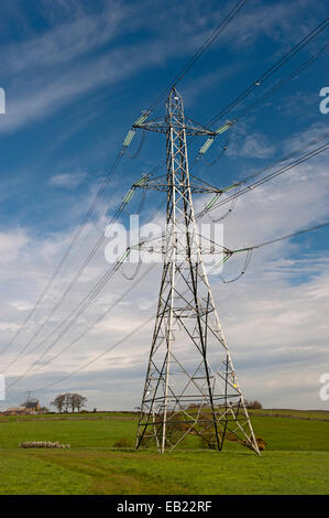 Hochspannungs Strommasten überqueren Ackerland, Lancashire, UK. Stockfoto