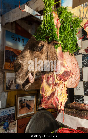 Kamel Kopf zum Verkauf in der Metzgerei in der Medina von Fes. 30. November 2008 in Fez, Marokko, Afrika Stockfoto