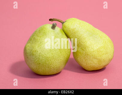 Anjou und gelben Bartlett Birnen auf einem roten Hintergrund fotografiert Stockfoto