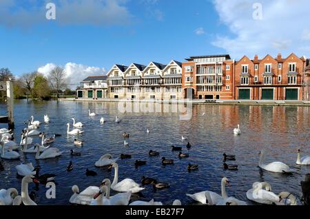 Moderne Wohnungen am Ufer in Eton, Berkshire Stockfoto