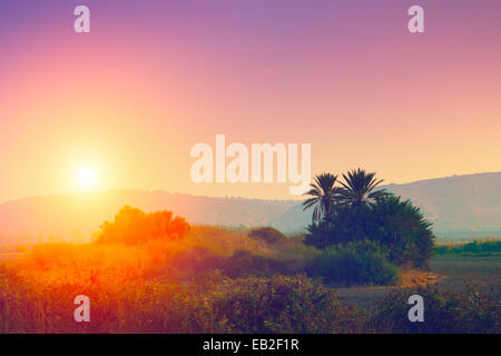 Magischen Sonnenaufgang über der Wüste in Israel. Stockfoto