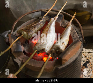 Gegrillte Fische auf dem grill Stockfoto