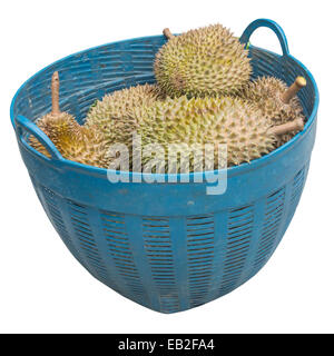 Durian in Korb isoliert auf weißem Hintergrund mit Beschneidungspfad Stockfoto
