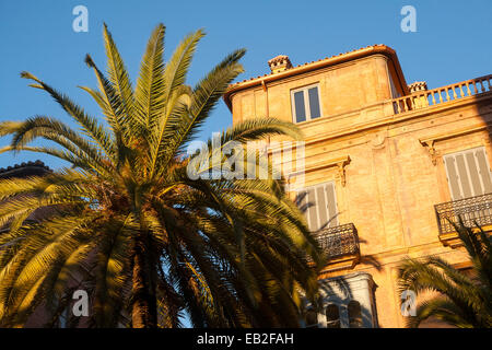 Blickte zu Palm Tree blauen Himmel und historischen Gebäude in der Innenstadt von Malaga, Spanien Stockfoto