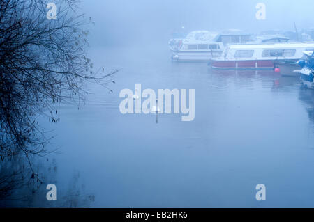 Ratcliffe-On-Soar, Nottinghamshire, UK. 25. November 2014. UK Wetter: Über Nacht Frost und dichtem Nebel auf dem Fluss steigen in der Nähe von Ratcliffe-on-Soar Marina. Bildnachweis: IFIMAGE/Alamy Live-Nachrichten Stockfoto