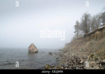 Estnische Kalkstein Nordufer im Nebel Stockfoto