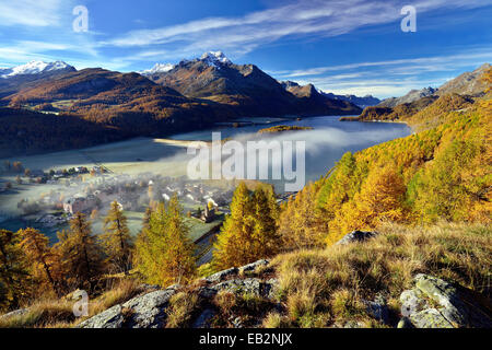 Blick auf Silsersee und Piz da la Margna im herbstlichen Oberengadin, Nebel über dem Tal, Sils-Baselgia, Engadin, Graubünden Stockfoto