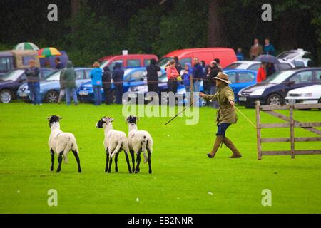 Katy Cropper im Regen im Wettbewerb Patterdale Tag des Hundes in der Nähe von Patterdale, The Lake District, Cumbria, England, UK. Stockfoto