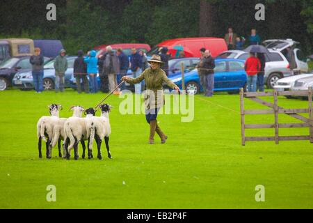 Katy Cropper im Regen im Wettbewerb Patterdale Tag des Hundes in der Nähe von Patterdale, The Lake District, Cumbria, England, UK. Stockfoto