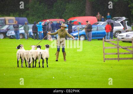 Katy Cropper im Regen im Wettbewerb Patterdale Tag des Hundes in der Nähe von Patterdale, The Lake District, Cumbria, England, UK. Stockfoto