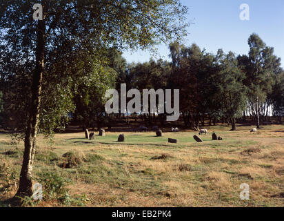 Neun Damen Stone Circle, frühe Bronzezeit stone Circle, Derbyshire, UK Stockfoto