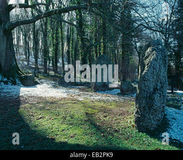 Blick auf einen Teil des Steinkreises, neun Steinen, Winterbourne Abbas, Dorset, Großbritannien Stockfoto