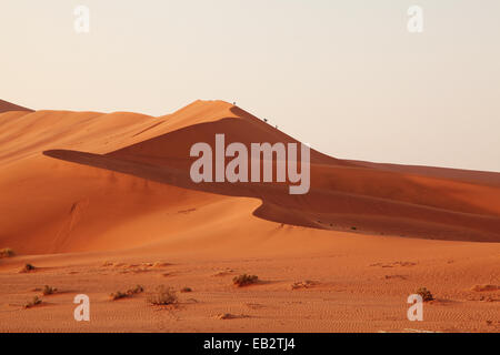 Sanddünen in Namibia Stockfoto