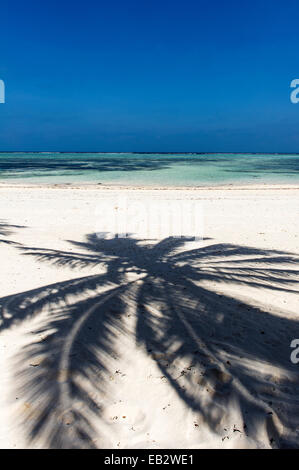 Der Schatten des Baumes Palmwedel auf einem unberührten tropischen Insel-Strand mit Blick auf das türkisfarbene Wasser des Indischen Ozeans. Stockfoto