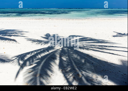 Der Schatten des Baumes Palmwedel auf einem unberührten tropischen Insel-Strand mit Blick auf das türkisfarbene Wasser des Indischen Ozeans. Stockfoto