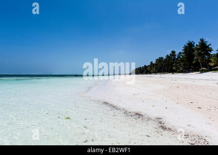 Das türkisfarbene Wasser des Indischen Ozeans Plätschern einen unberührten weißen Strand auf einer tropischen Insel. Stockfoto