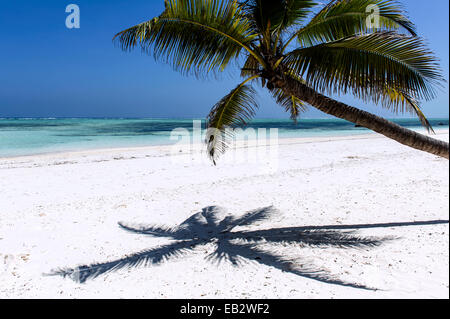 Der Schatten des Baumes Palmwedel auf einem unberührten tropischen Insel-Strand mit Blick auf das türkisfarbene Wasser des Indischen Ozeans. Stockfoto