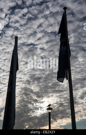 Möwe auf Lampost, Cirrocumulus, Altocumulus, Herbst, schön, Schönheit, blau, hell, Cirro-Cumulus klar, Klima, Wolke, clo Stockfoto