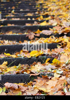 Eine Steintreppe mit Laub bedeckt Stockfoto