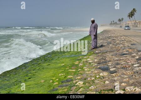 Lokale Mann beobachtet die Brandung an der Corniche von Salalah während der Monsunzeit oder Khareef Saison, Salalah, Dhofar-region Stockfoto