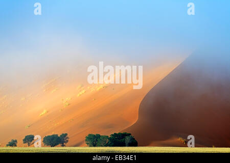 Düne im Morgennebel, Sossusvlei, Namib Wüste, Namib-Naukluft-Nationalpark, Namibia, Namibia Stockfoto