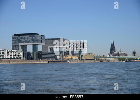 Die drei Kran Türme, Kranhaeuser, Kölner Dom an der Rückseite, Köln, Rheinland, Nordrhein-Westfalen, Deutschland Stockfoto