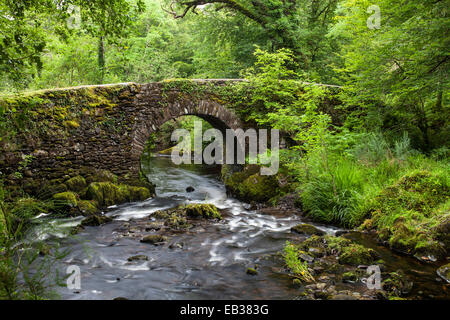 Steinerne Brücke über einen Bach, in der Nähe von glengarriff, County Cork, Irland Stockfoto