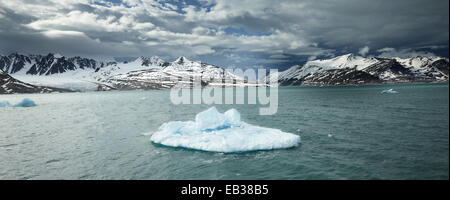 Liefdefjorden Fjord mit Eisscholle, Spitzbergen-Island, Spitzbergen, Svalbard und Jan Mayen, Norwegen Stockfoto