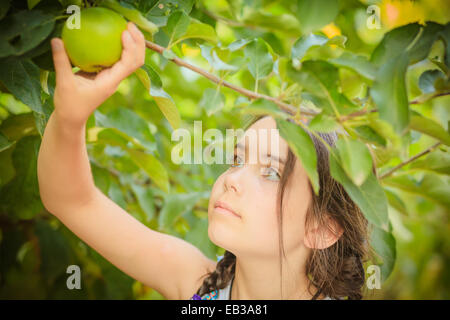 Mädchen pflücken einen grünen Apfel von einem Baum Stockfoto