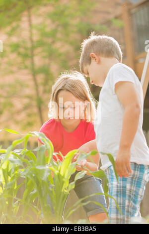 Kinder im Garten im Hinterhof Stockfoto