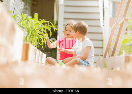 Kinder, die zusammen im Garten Gartenarbeit Stockfoto