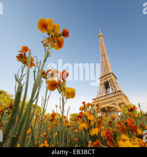 Eiffelturm gesehen durch Blumen, Paris, Frankreich Stockfoto