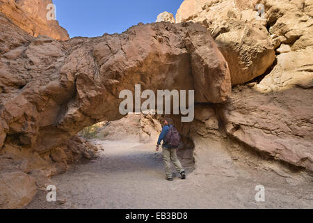 USA, California, Anza-Borrego Desert State Park, Wanderer zu Fuß unter einer natürlichen Brücke Stockfoto