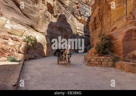 Jordan, Ma'an, Umm Sayhun, Petra, Pferdekutsche Fähren touristische Stockfoto