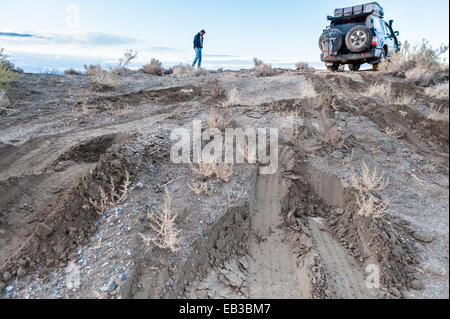 Mann, der die Straßenbedingungen auf schlammigem Gleis, Black Rock Desert, Nevada, USA überprüft Stockfoto