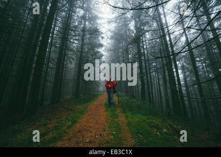 Wanderer im Wald Stockfoto