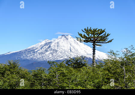 Chile, Araucania Region, Conguillo Nationalpark Vulkan Llaima Stockfoto