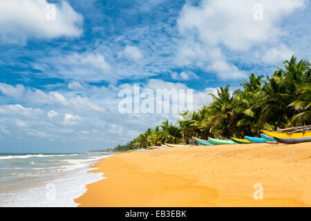 Angelboote/Fischerboote ruht auf leeren Strand in Sri Lanka Stockfoto