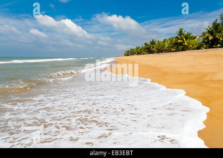 Wellen auf einem leeren Strand in Sri Lanka Stockfoto