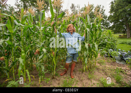 Ältere kaukasischen Frau im Maisfeld auf Bauernhof Stockfoto