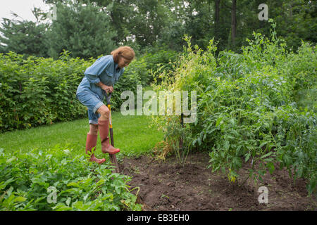 Ältere Frau kaukasischen Gartenarbeit Stockfoto