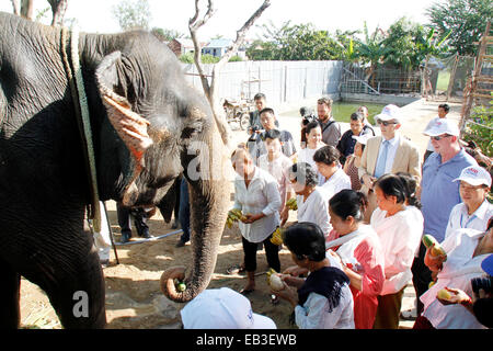 (141125)--PHNOM PENH, 25. November 2014 (Xinhua)--Menschen bieten Obst Elefant Sambo in Phnom Penh, Kambodscha, 25. November 2014. Sambo, der berühmte Elefant bekannt seit Jahren als einer der Hauptstadt Phnom Penhs den berühmtesten Sehenswürdigkeiten, wird nach Nordosten Kambodschas Mondulkiri Provinz in dieser Woche in den Ruhestand Eigentümer und offizielle sagte am Dienstag. (Xinhua/Sovannara) Stockfoto